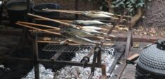 SPECIAL – STECKERLFISCH vom Holzkohlegrill – 20.09.2025